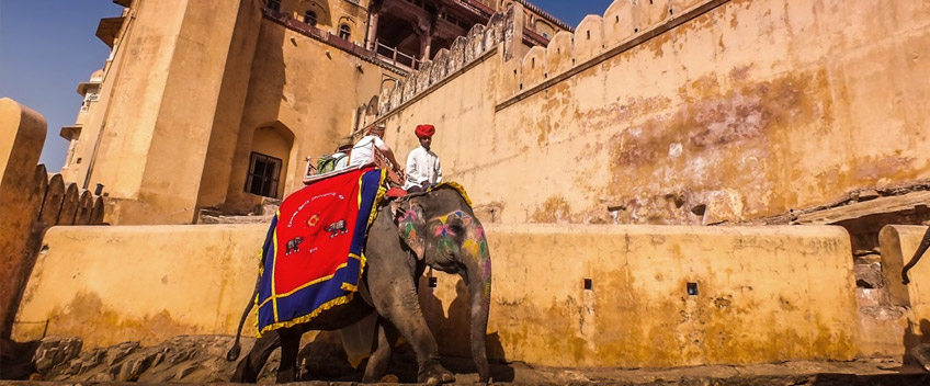 elephantride-jaipur